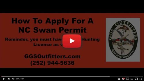 How To Apply for a Tundra Swan Hunting Permit